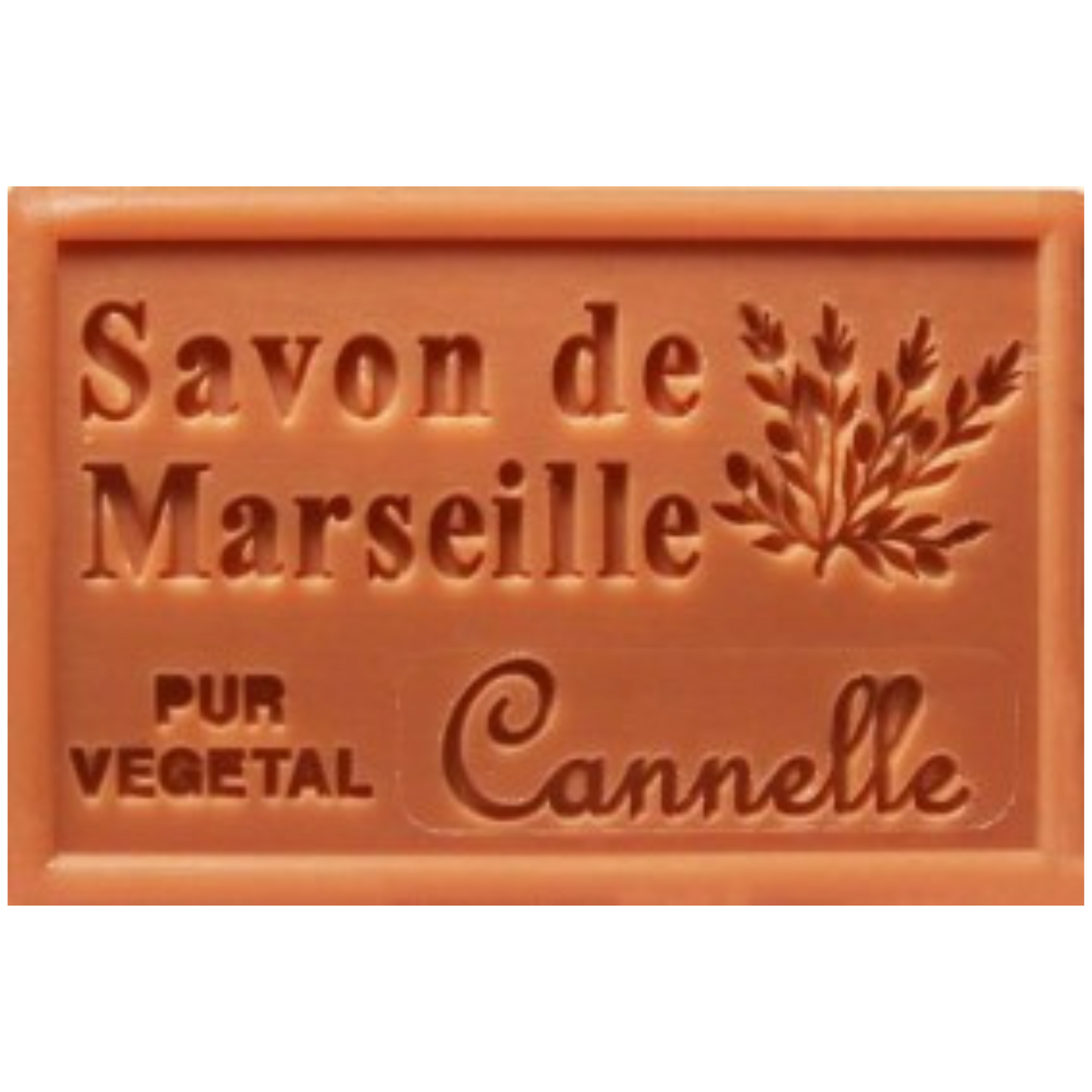 Savon Solide - Cannelle 100g Bio