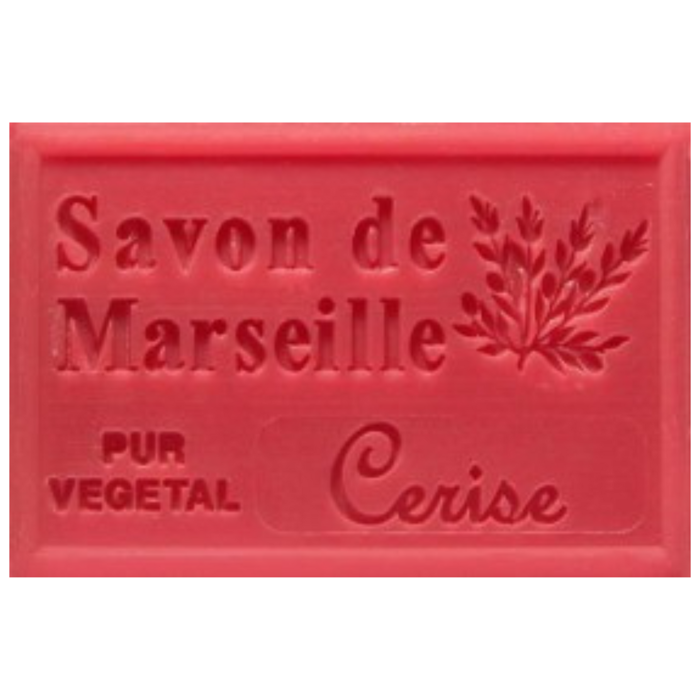 Savon Solide - Cerise 100g Bio