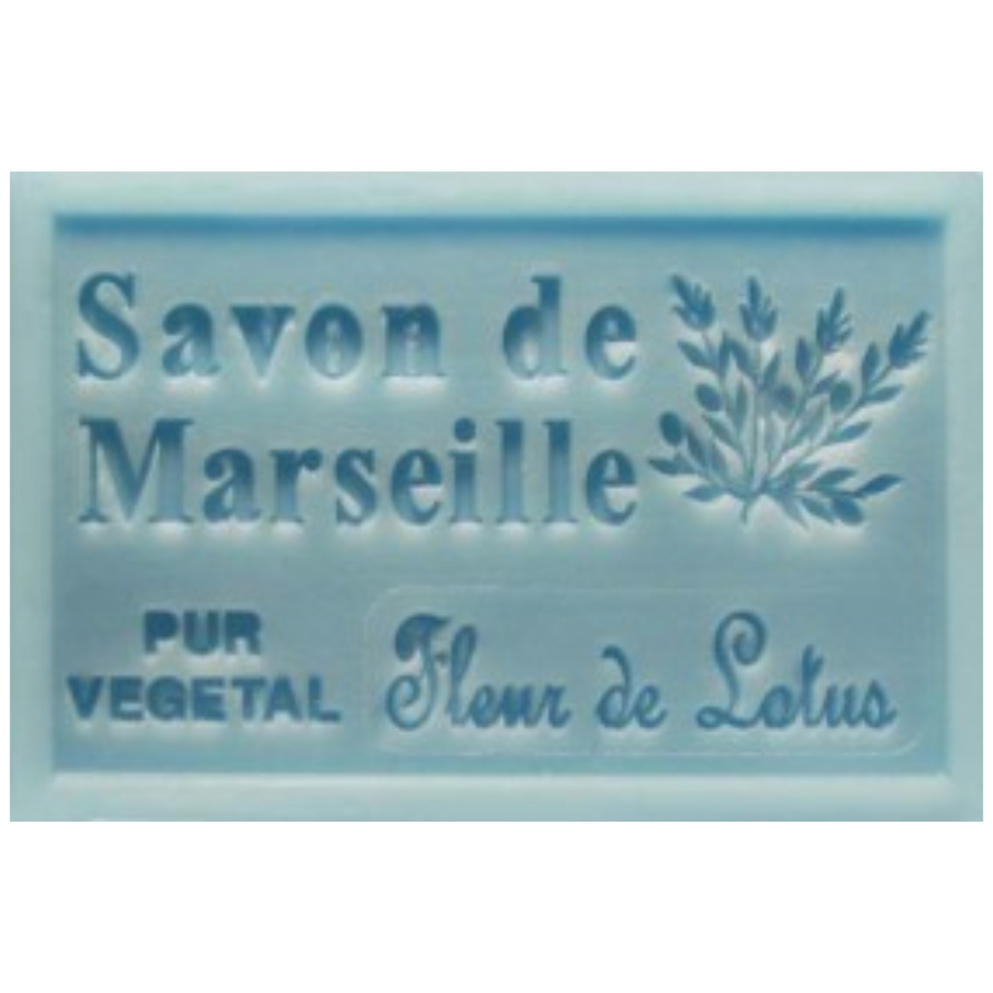 Savon Solide - Fleurs de Lotus 100g Bio