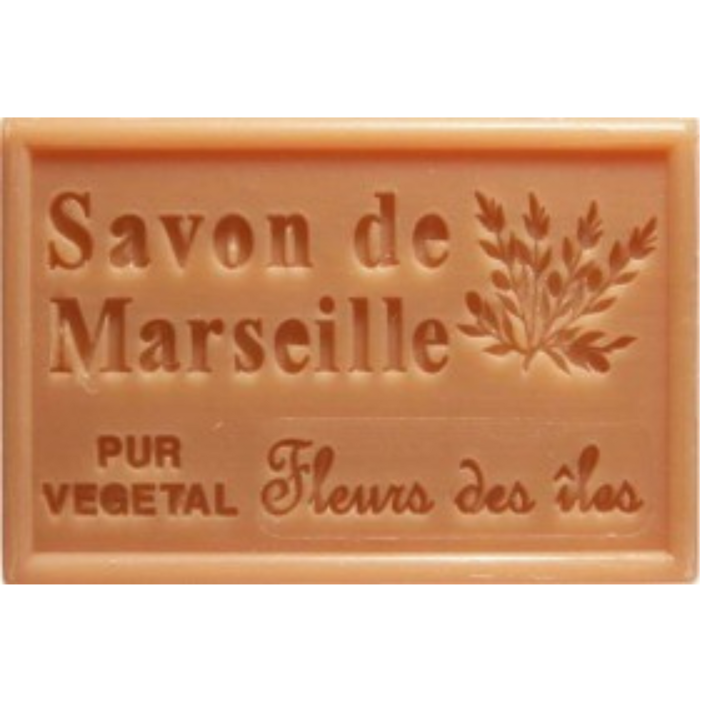 Savon Solide - Fleurs des Iles 100g Bio