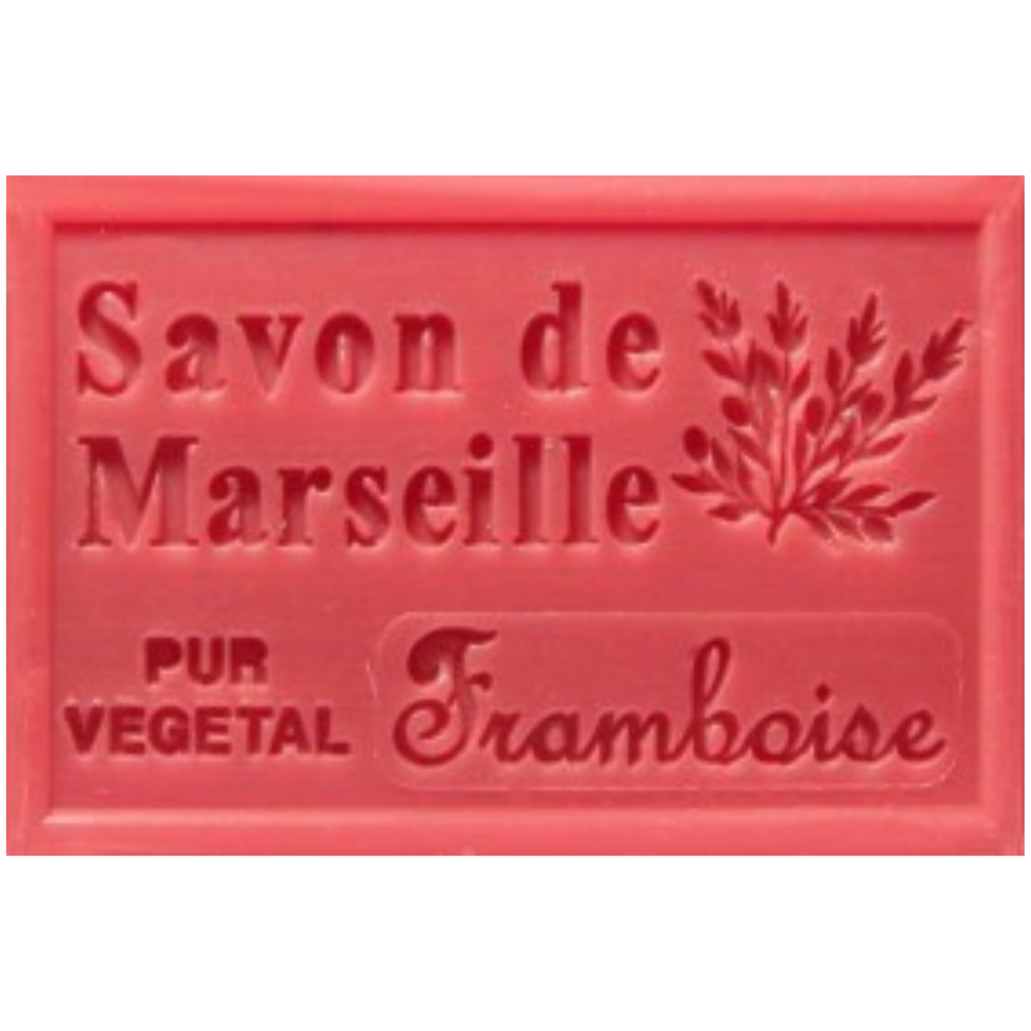 Savon Solide - Framboise 100g Bio