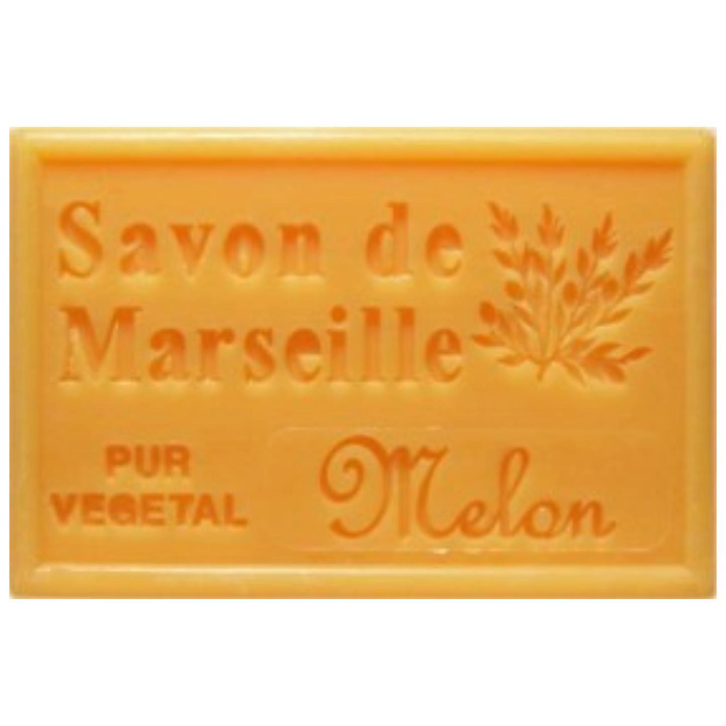 Savon Solide - Melon 100g Bio