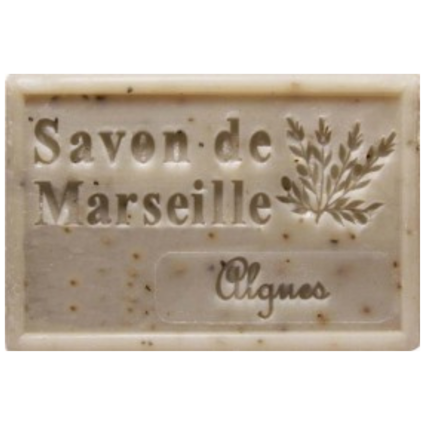 Savon Solide - Algues 100g Bio