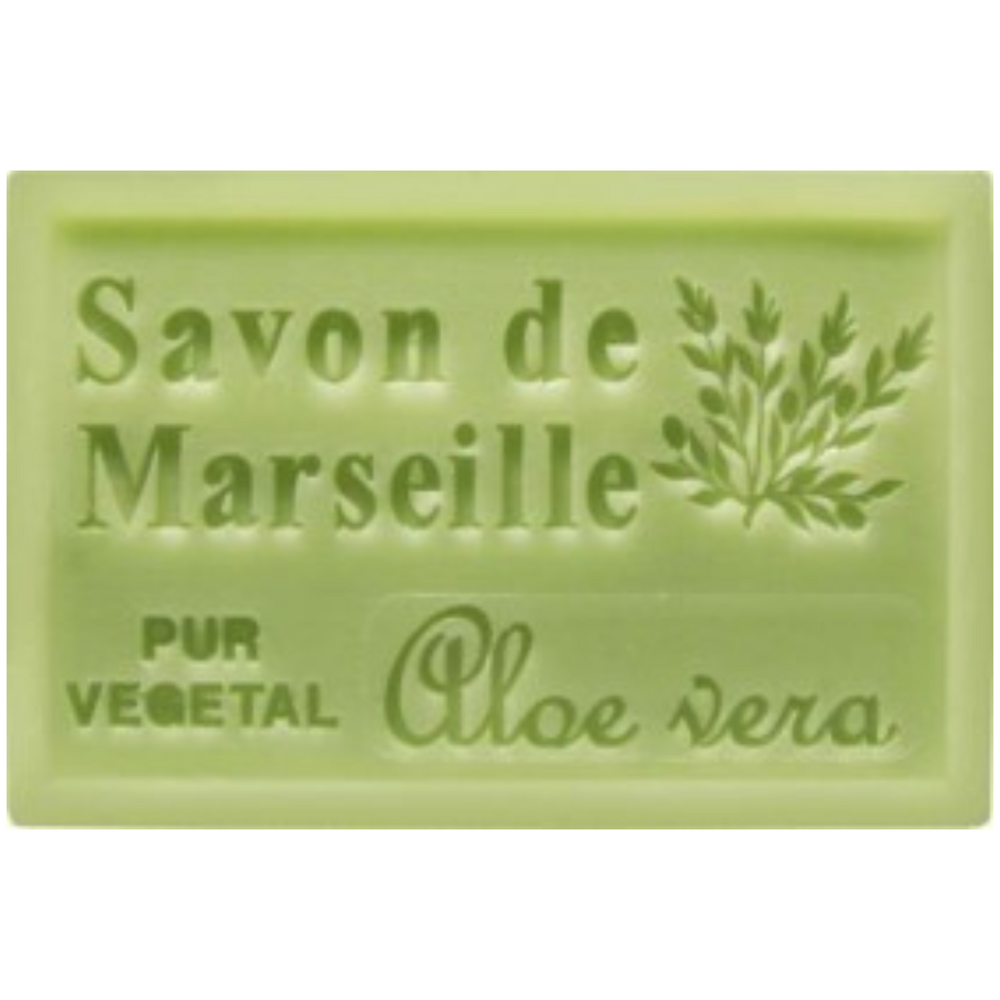Savon Solide - Aloe Vera 100g Bio