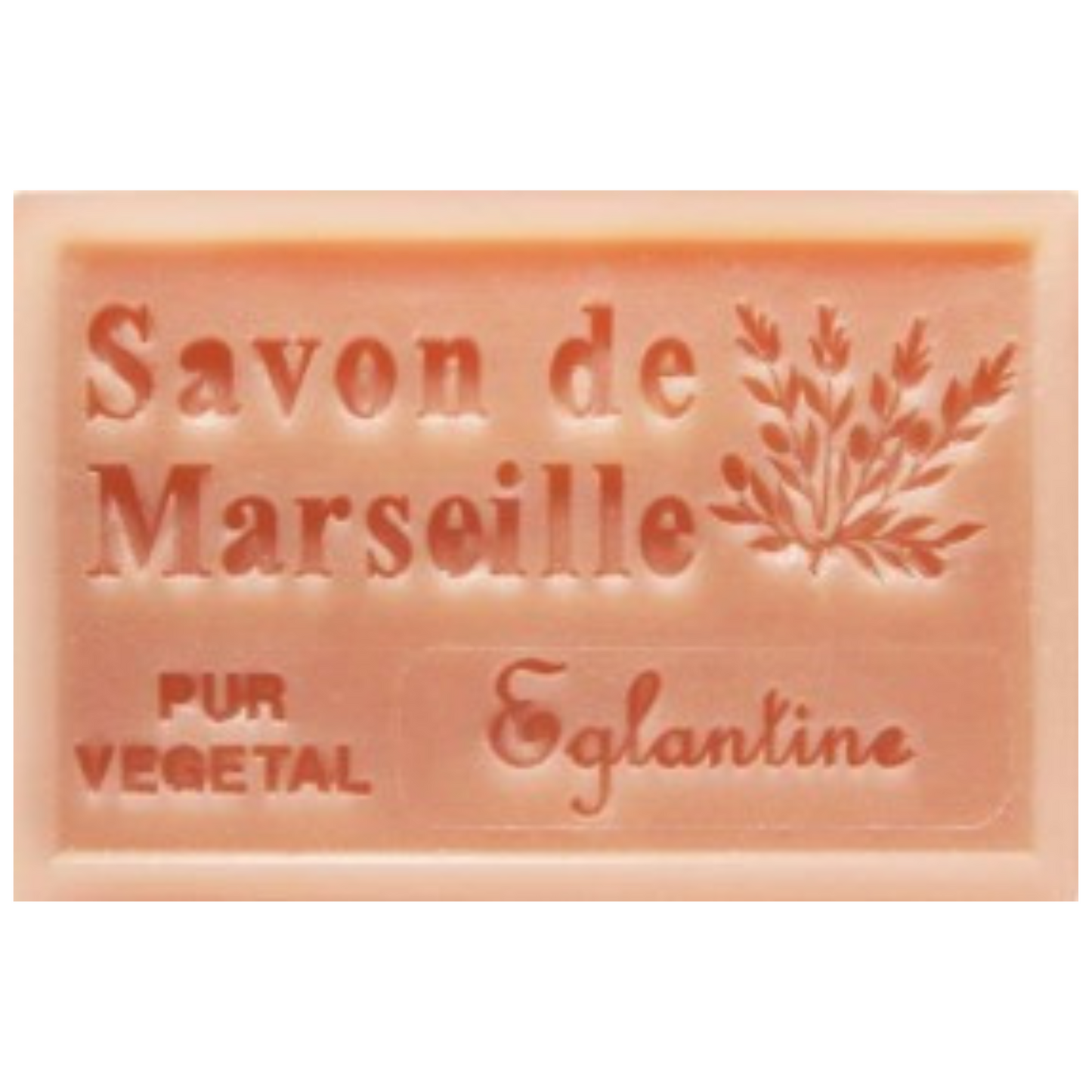 Savon Solide - Eglantine 100g Bio