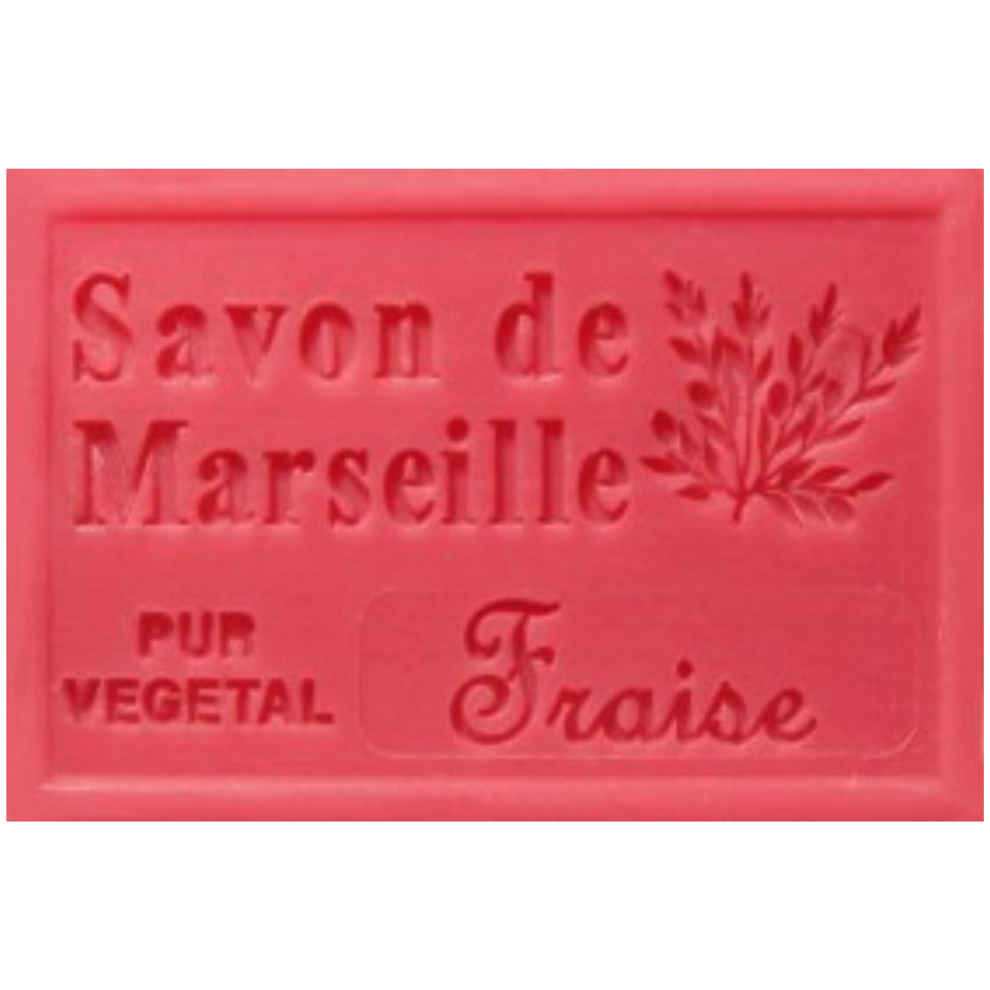 Savon Solide - Fraise 100g Bio