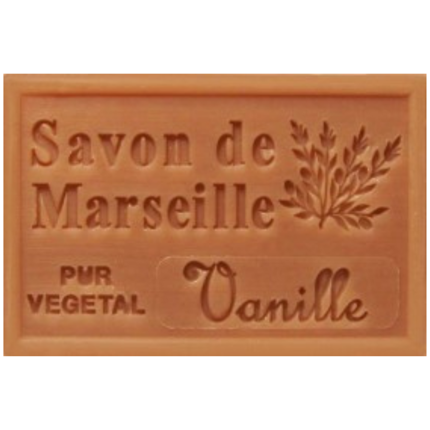 Savon Solide - Vanille 100g Bio